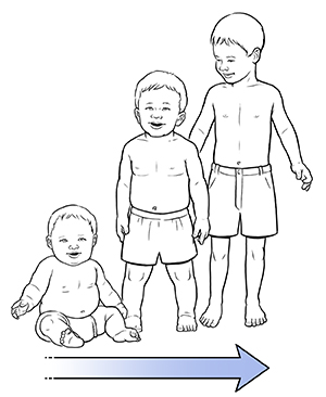 Chubby 6-month-old baby. Chubby 12 to 18-month-old baby. Lean 3-year-old toddler. Arrow shows baby developing into lean toddler.