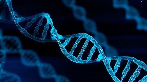 3D illustration of blue chromosome DNA